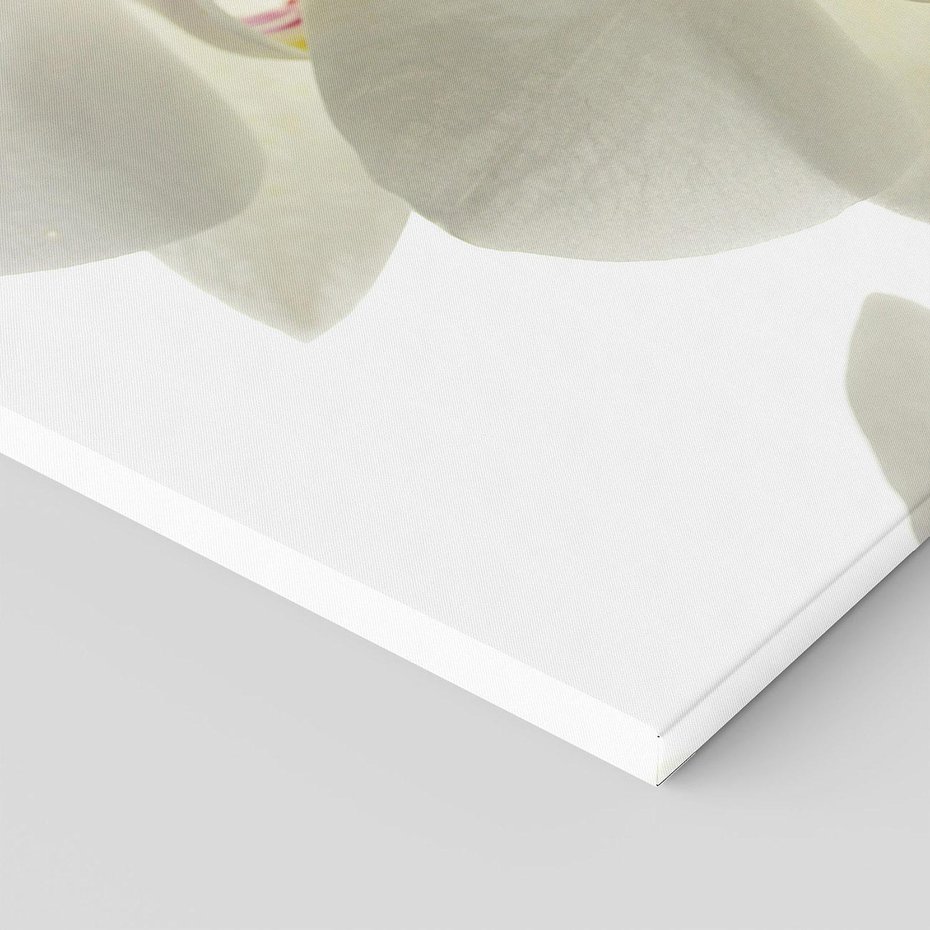 Obraz na płótnie - kwiaty, orchidee, białe,