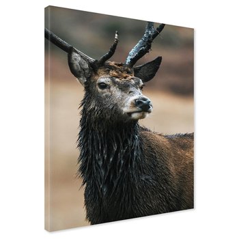 Obraz na płótnie - jeleń, zwierzę, natura