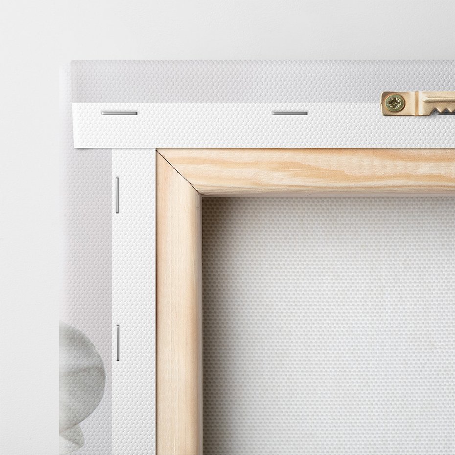 Obraz na płótnie - orchidee, kwiaty, białe,