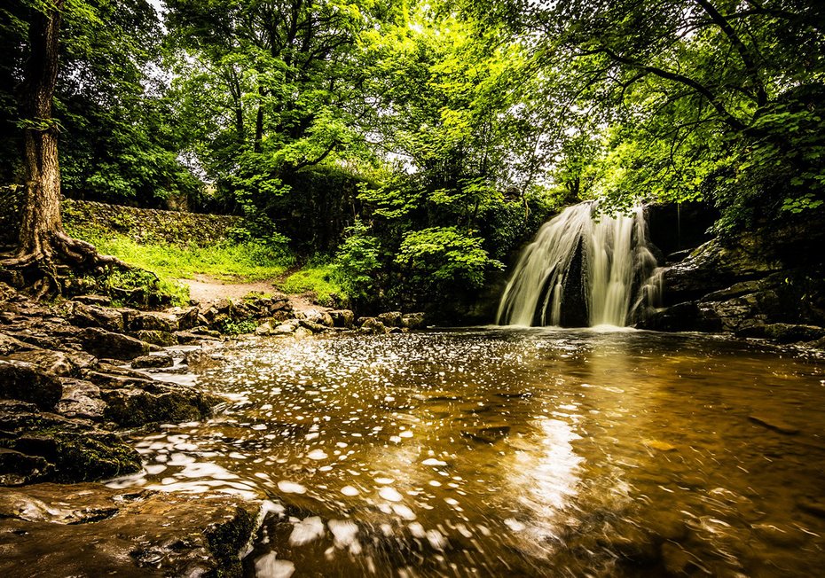 Fototapeta - wodospad, las, woda