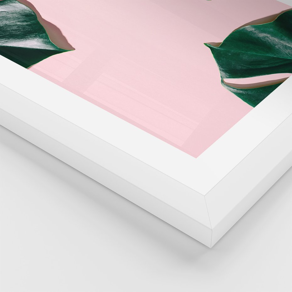 Zestaw obrazy w ramie, plakaty - monstera, liście, roślina - rama biała