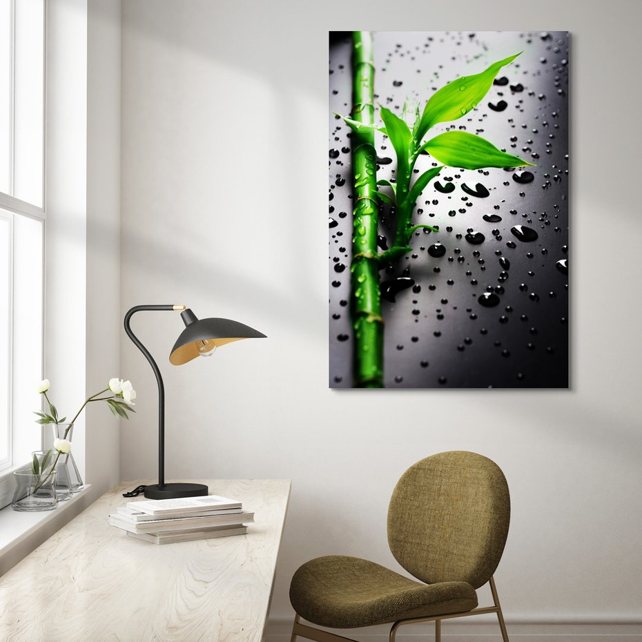Obraz na płótnie - bambus, liście, krople