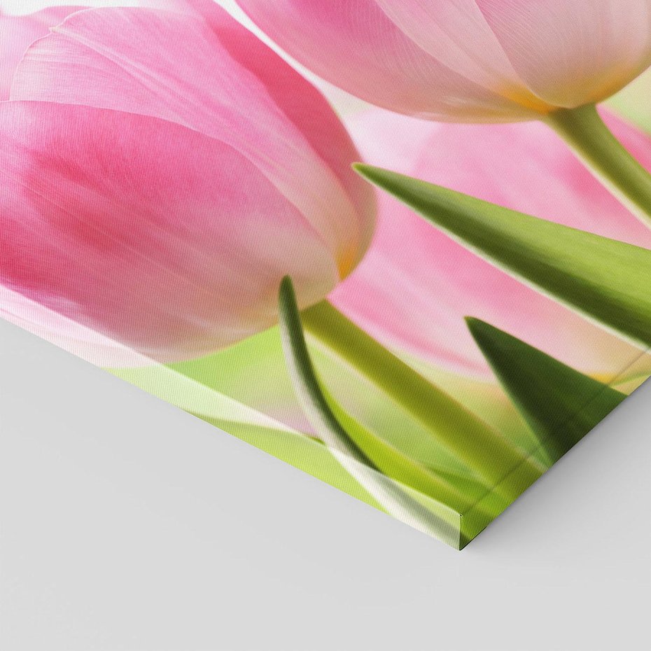 Obraz na płótnie - tulipany, kwiaty, różowe