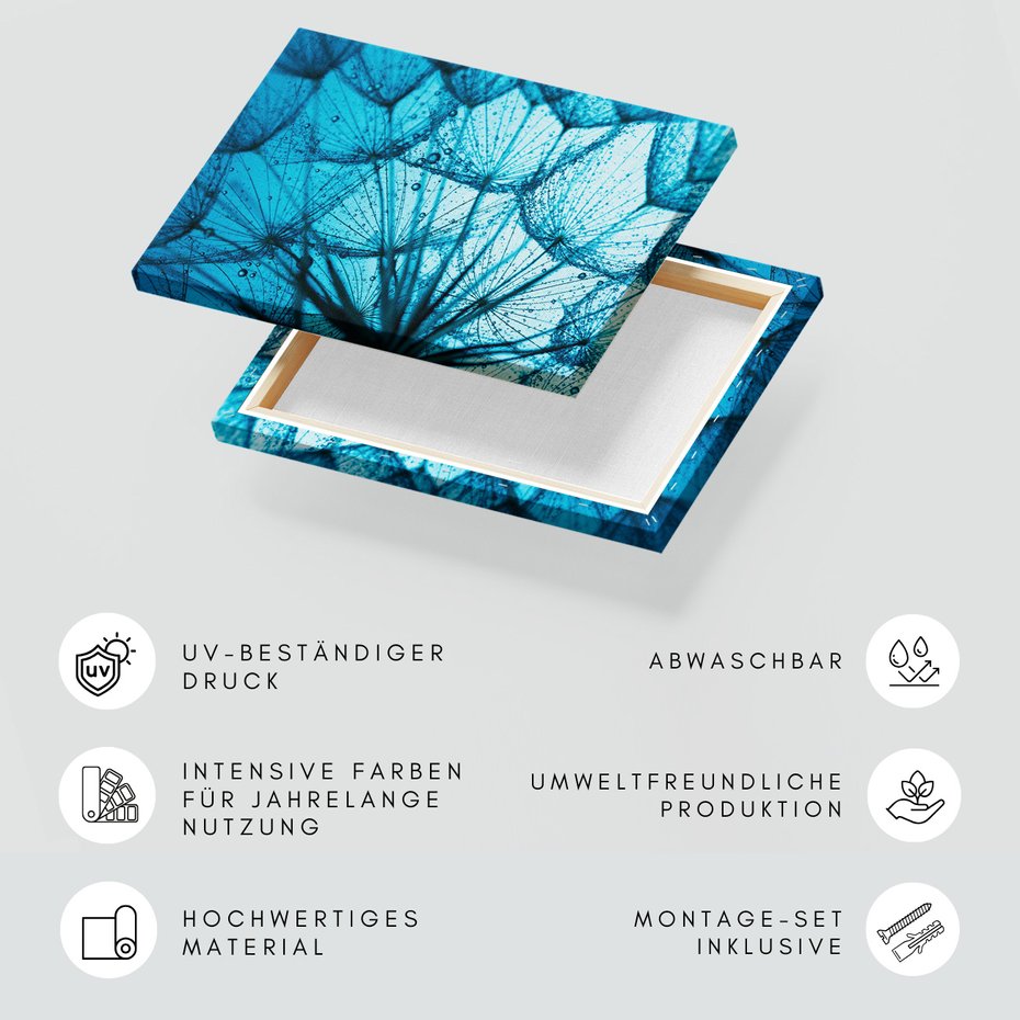 Obraz na płótnie - dmuchawiec, abstrakcja, natura