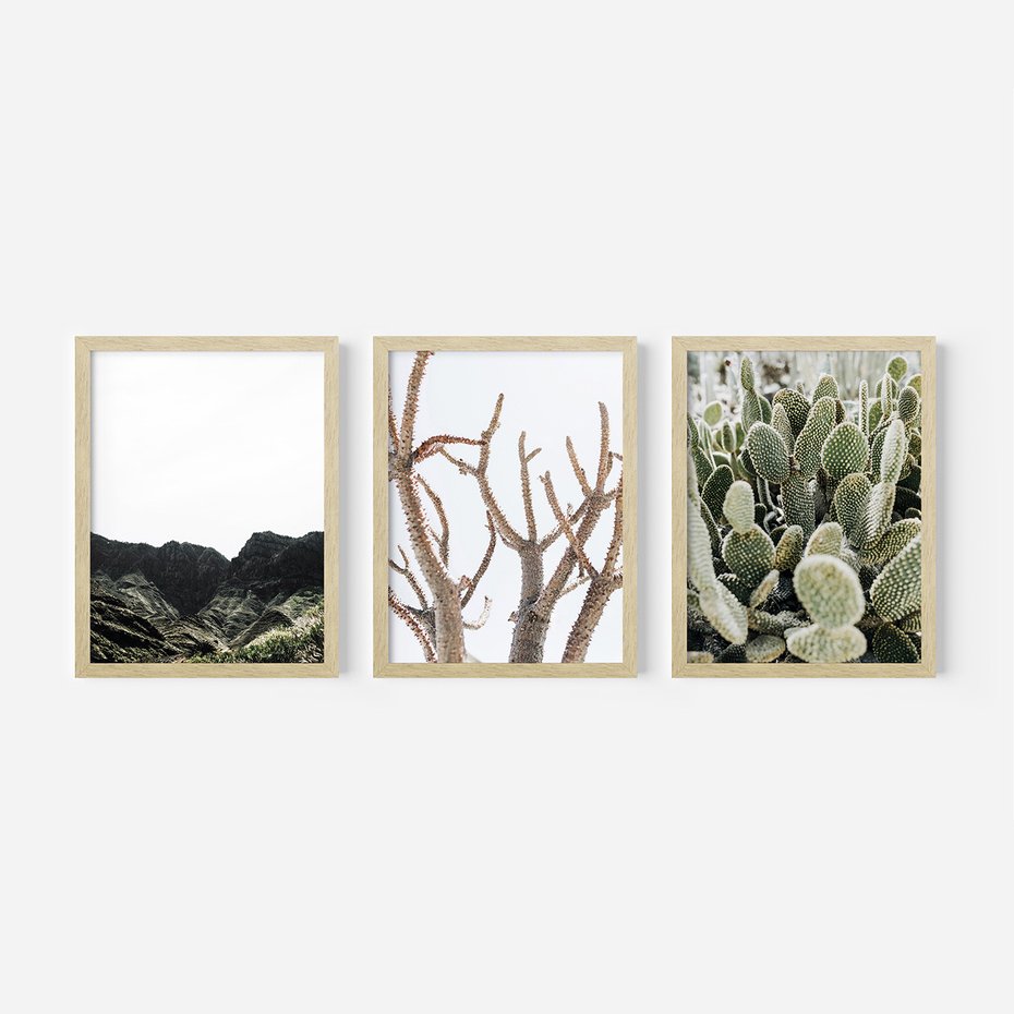 Zestaw obrazy w ramie, plakaty - góry, kaktus, rośliny - rama drewno