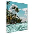 Obraz na płótnie - palmy, plaża, morze