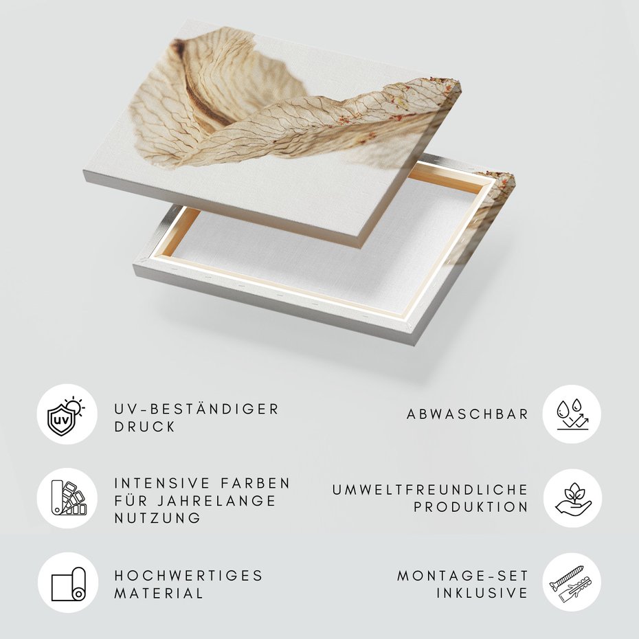 Obraz na płótnie - kwiat, suchy, abstrakcja