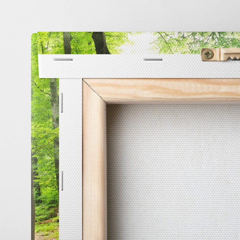 Obraz na płótnie - las, strumień, drzewa