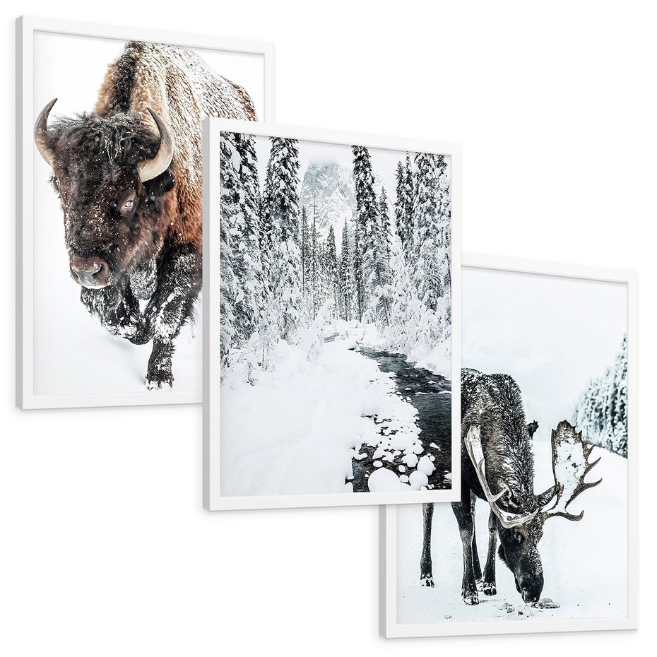 Zestaw obrazy w ramie, plakaty - bizon, łoś, zima - rama biała