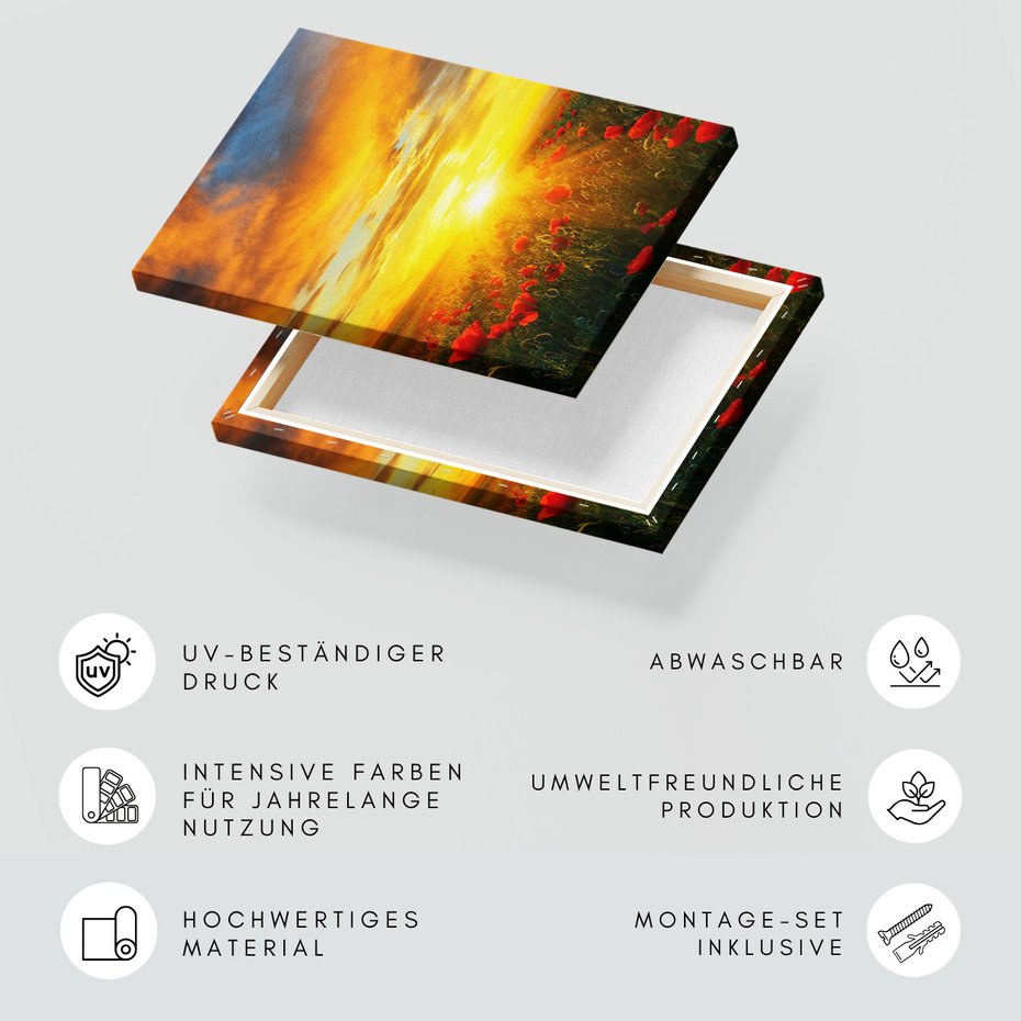 Obraz na płótnie - zachód słońca, kwiaty, pole