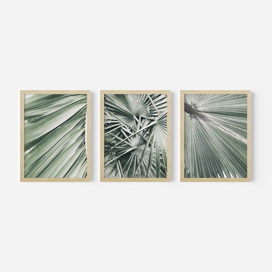 Zestaw obrazy w ramie, plakaty - liście palmowe, rośliny, natura - rama drewno