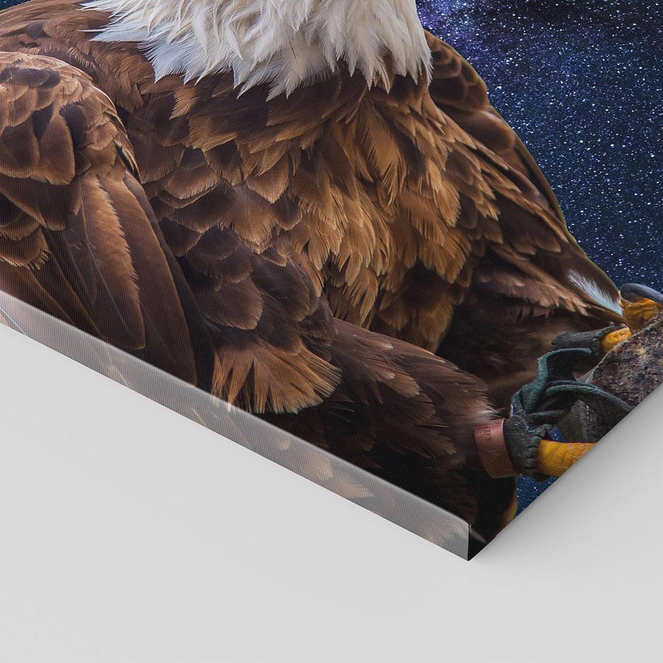 Obraz na płótnie - orzeł, ptak, gwiazdy