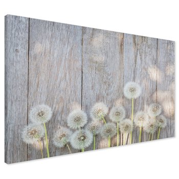Obraz na płótnie - dmuchawce, drewno, natura