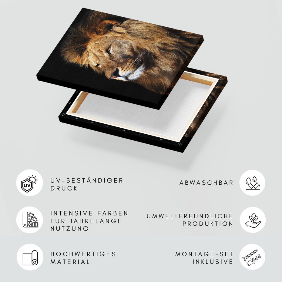 Obraz na płótnie - lew, portret, drapieżnik