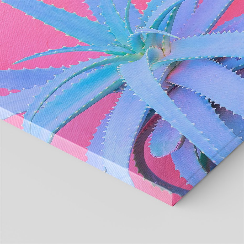 Obraz na płótnie - aloes, roślina, różowy