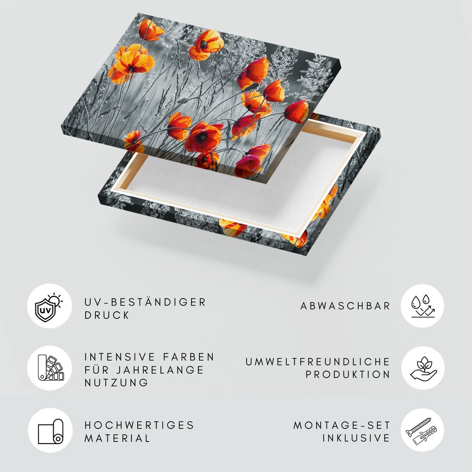 Obraz na płótnie - maki, kwiaty, natura