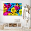 Obraz na płótnie - kwiaty, kolorowe, bukiet