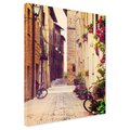 Obraz na płótnie - uliczka, kwiaty, rowery