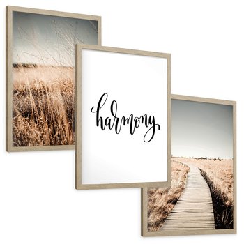 Zestaw obrazy w ramie, plakaty - przyroda, polne, krajobraz - rama drewno