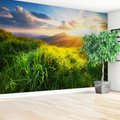 Fototapeta - góry, trawa, słońce