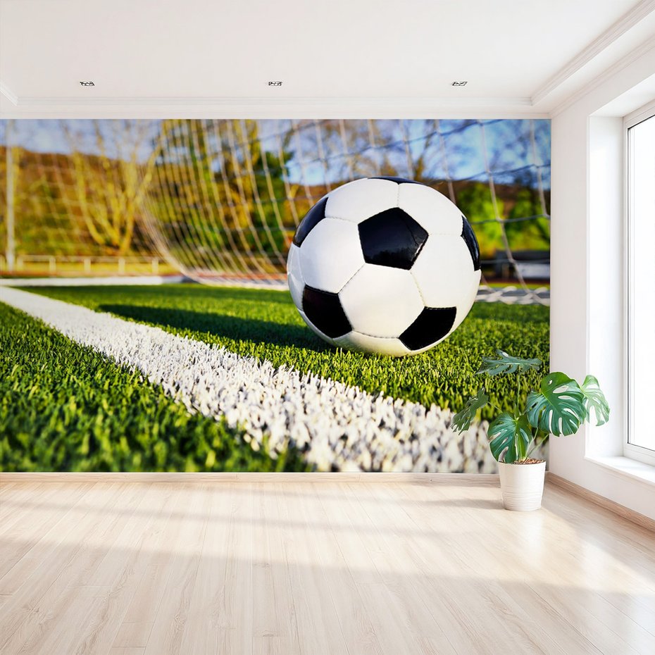 Fototapeta - piłka, boisko, sport