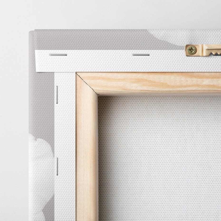 Obraz na płótnie - kwiat, orchidea, biały