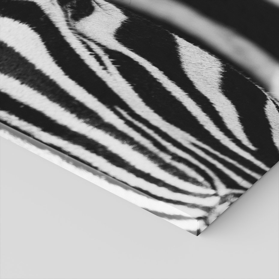 Obraz na płótnie - zebra, zwierzę, paski