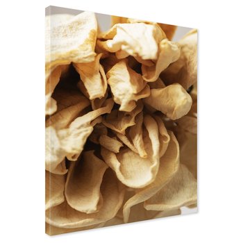 Obraz na płótnie - kwiat, płatki, suche