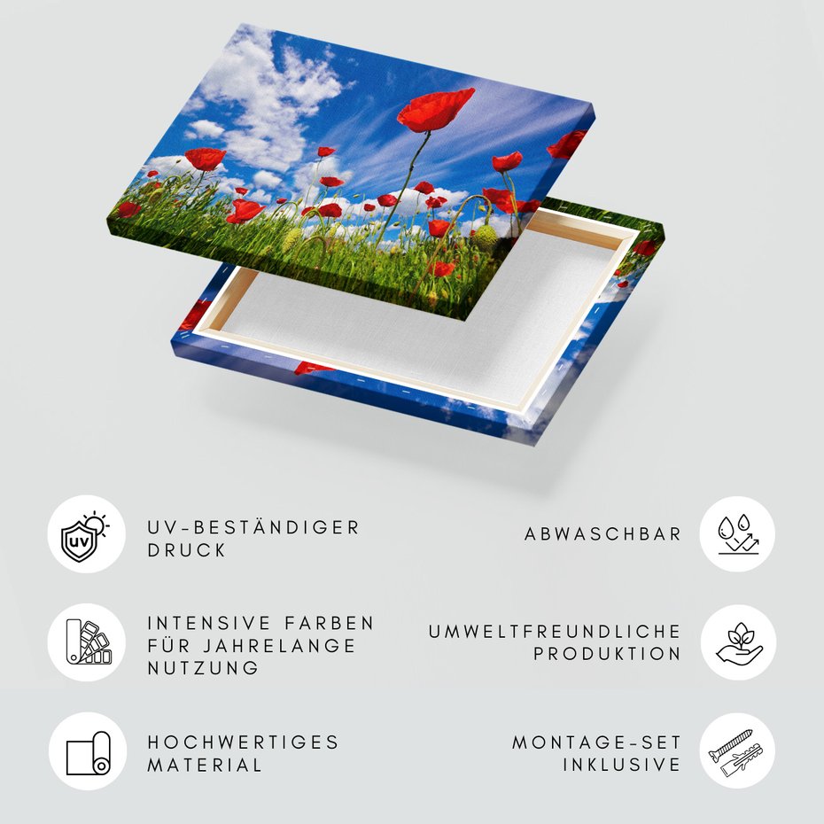 Obraz na płótnie - maki, kwiaty, lato