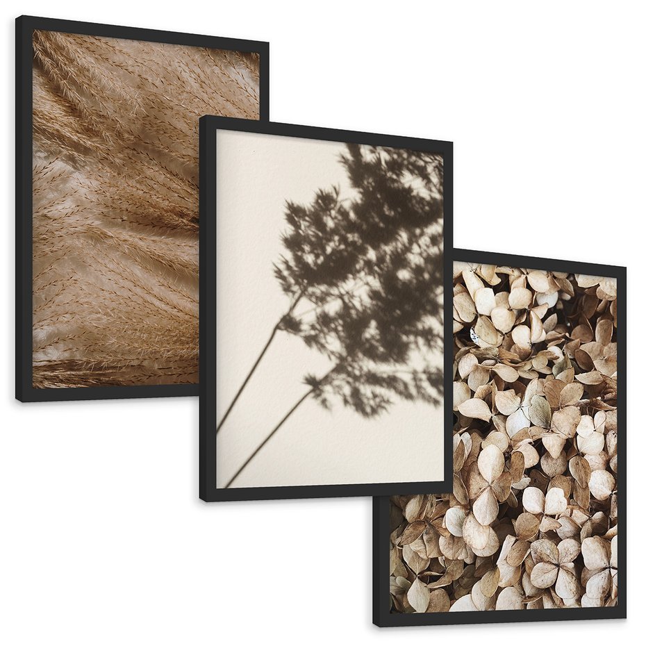 Zestaw obrazy w ramie, plakaty - rośliny, cienie, susz - rama czarna