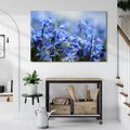 Obraz na płótnie - kwiaty, niebieskie, wiosna