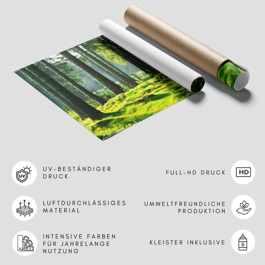 Fototapeta - las, drzewa, natura